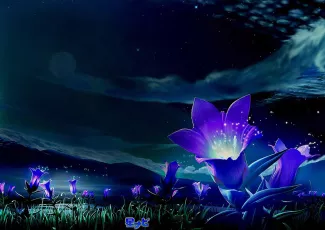 Обои о любви: Романтические обои