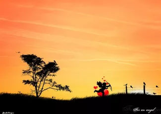 Обои о любви: Романтические обои