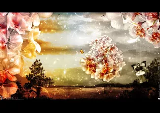 Обои о любви: Романтические обои