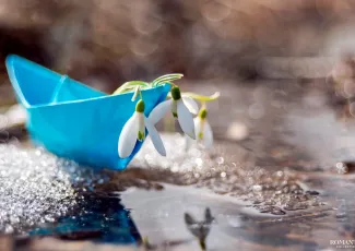 Ах, эта ужасная, прекрасная весна!