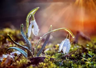 Благодарить по малейшему поводу