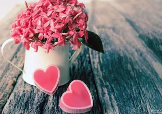 Давай будем любить