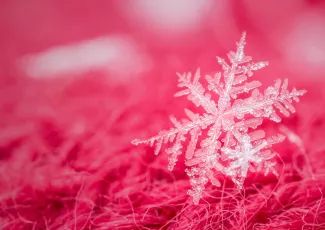 Декабрь – простодушный мечтатель