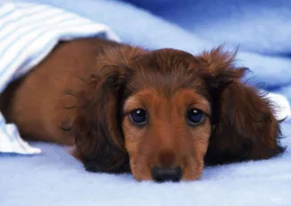 Для тех, кто расстается