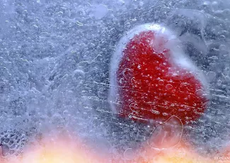 Дню Влюблённых посвящается