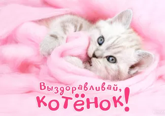 Выздоравливай любимой