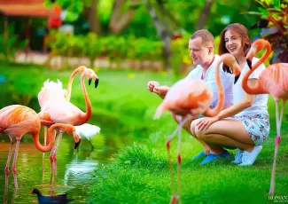 Прогулка в зоопарке