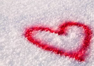 Сердце на снегу