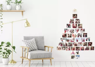 Лучшие моменты уходящего года