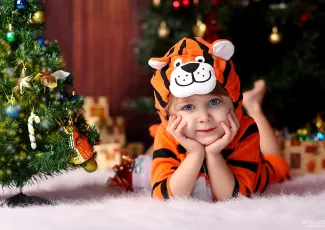 Конкурсы на Новый год Тигра