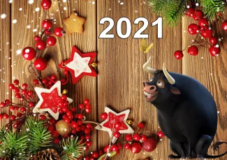 Конкурсы на Новый год Быка