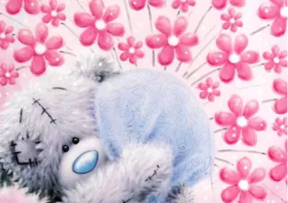 Галерея Пушистые мишки