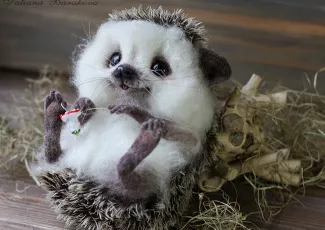 Галерея Очаровашки из войлока