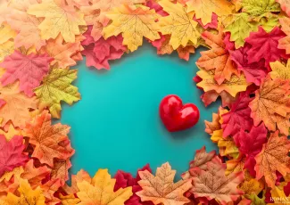 История о человеке, который не верил в любовь