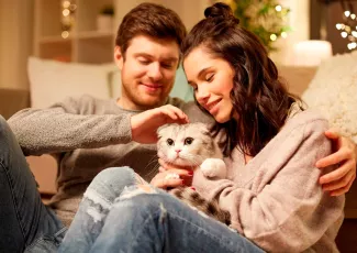 Кошка и её любимый человек