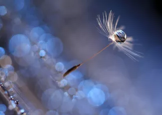 Любовь во всём