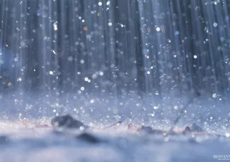 Мир, неразделенный на троих