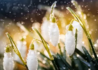 Наступает весна