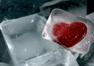 Научиться любить