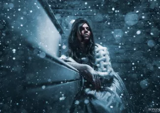 Новогодняя история