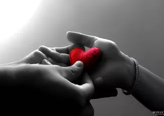 Одно сердце на двоих