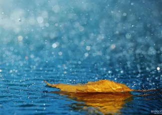 Осенняя сказка