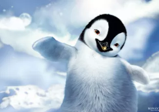 Пингвиненок и Цветок