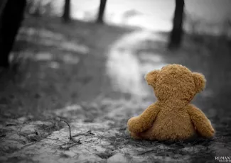 Плюшевый мишка