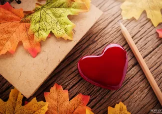 Подарок осени