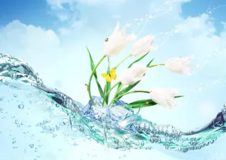 Приходил и дышал Апрель