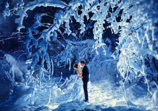 Принц из зимней сказки