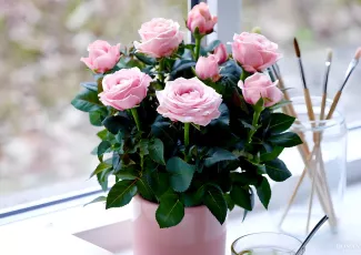 Рассказ про человечность и доброту