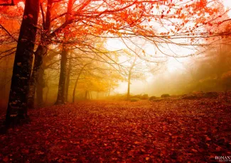 15 причин, по которым осень лучше лета