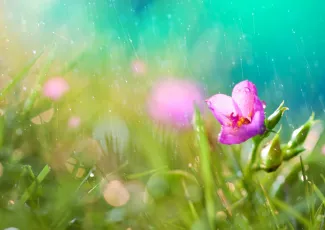 С людьми нельзя обращаться без любви