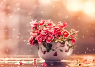 Счастье – в любимой женщине