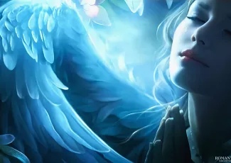 Семнадцать белоснежных роз