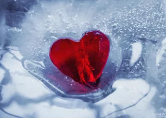 Сказка о любви и холодном сердце