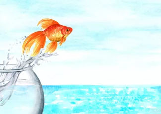 Сказка о маленькой рыбке