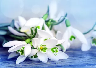 Смысл в том, чтоб найти родственную душу