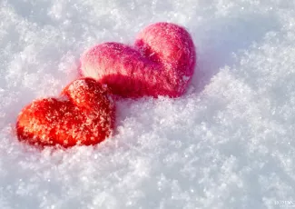 Снежная любовь