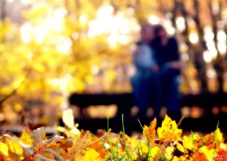 Спасибо, Павел...