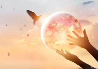 Всепрощение