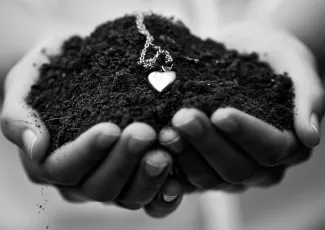 Обои о любви: Сердечко в руках