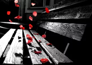 Обои о любви: Лепестки роз