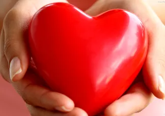 Обои о любви: Сердце в ладонях