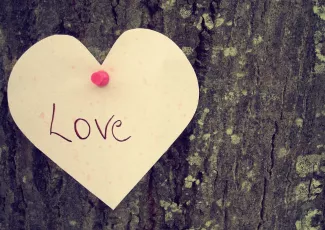 Обои о любви: Записка на дереве Love