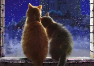 Обои о любви: Влюбленные коты