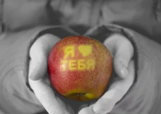 Обои о любви: Надпись "Я люблю тебя" на яблоке