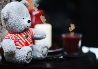 Обои о любви: Серый медвежонок