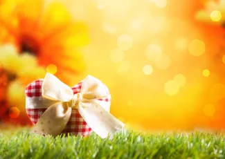 Обои о любви: Сердце в подарок